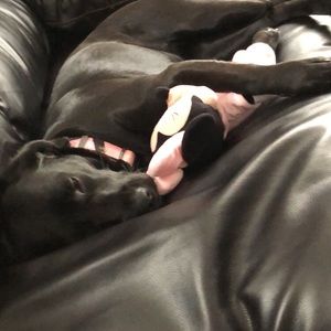 Meet your Posher, Sharilyn